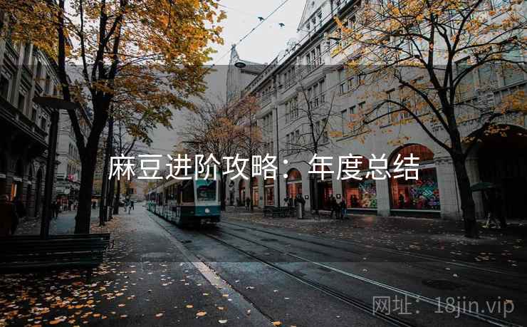 麻豆进阶攻略：年度总结