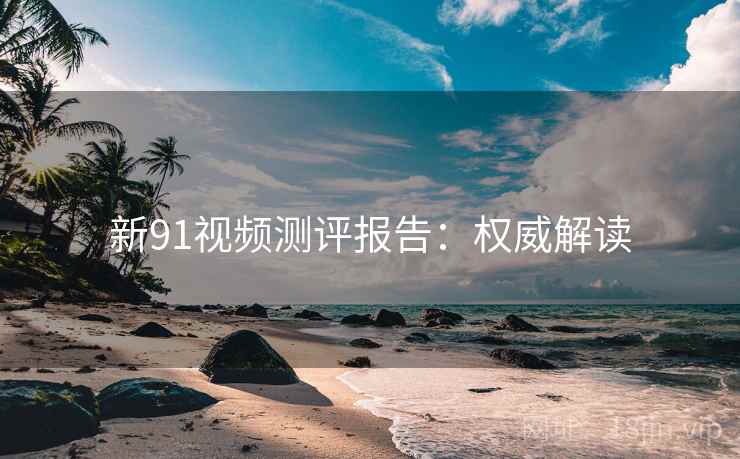 新91视频测评报告：权威解读
