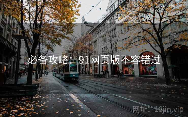 必备攻略：91网页版不容错过