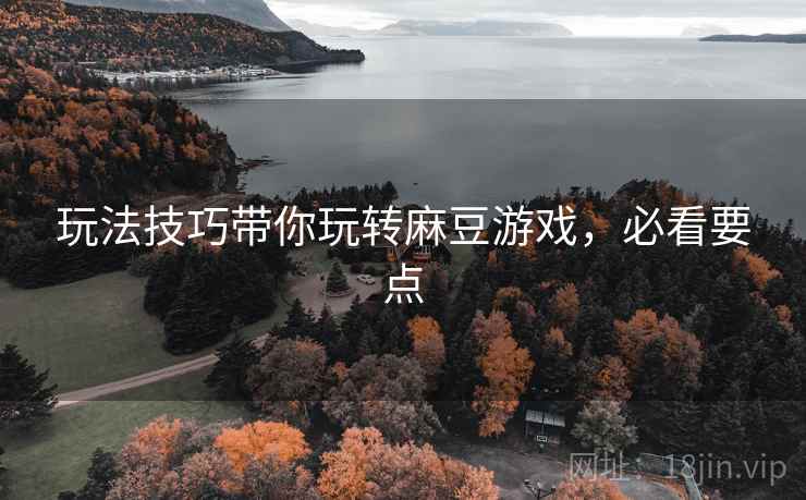 玩法技巧带你玩转麻豆游戏，必看要点