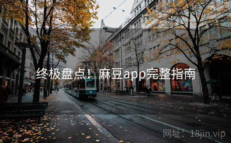 终极盘点！麻豆app完整指南