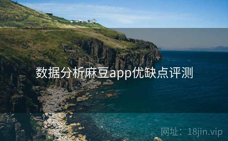 数据分析麻豆app优缺点评测