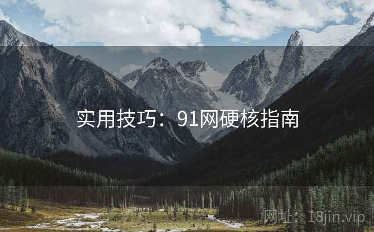 实用技巧：91网硬核指南